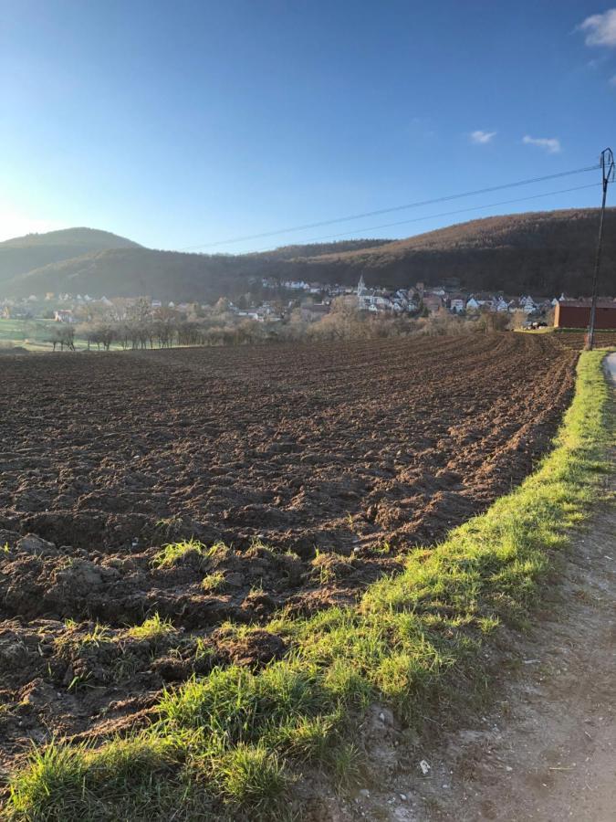 Gite L'Instant Durable Oberbronn Buitenkant foto