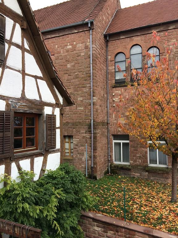Gite L'Instant Durable Oberbronn Buitenkant foto